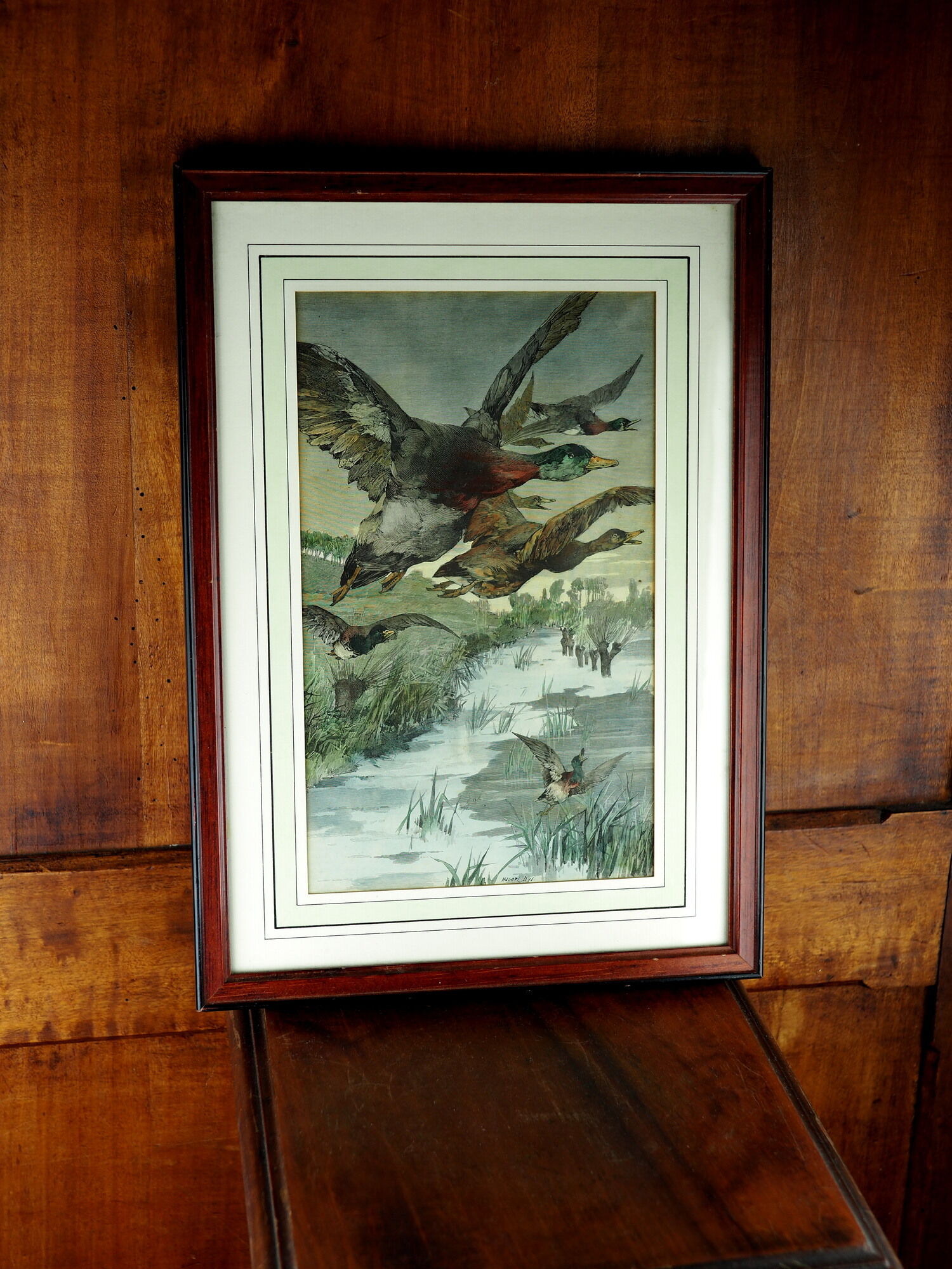 Flight of ducks, marshes and tetard willows - chromolithography Jules Habert-Dys - 1880
