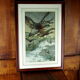 Flight of ducks, marshes and tetard willows - chromolithography Jules Habert-Dys - 1880