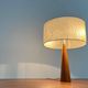 Lampe de table en teck minimaliste du milieu du siècle, années 1960