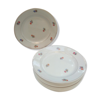 12 old flat plates Brabant / Mill of Wolves