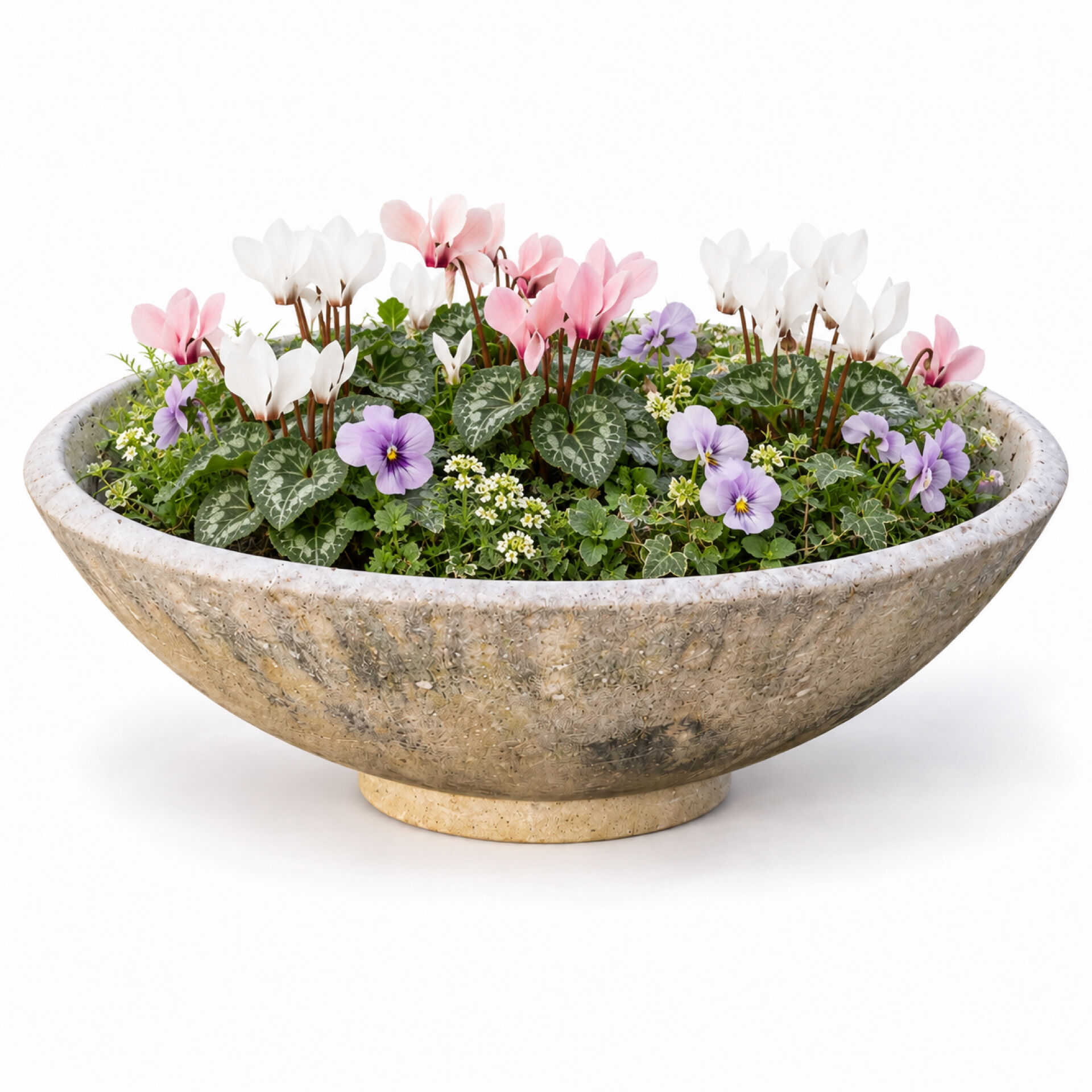 Large antique cement planter