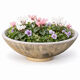 Large antique cement planter