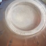 Lalique vase Denté model