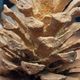 Old bronze pine cone lamp