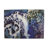 Original graphic litho 'Deep Sea Garden' by artist Marlene Tseng Yu