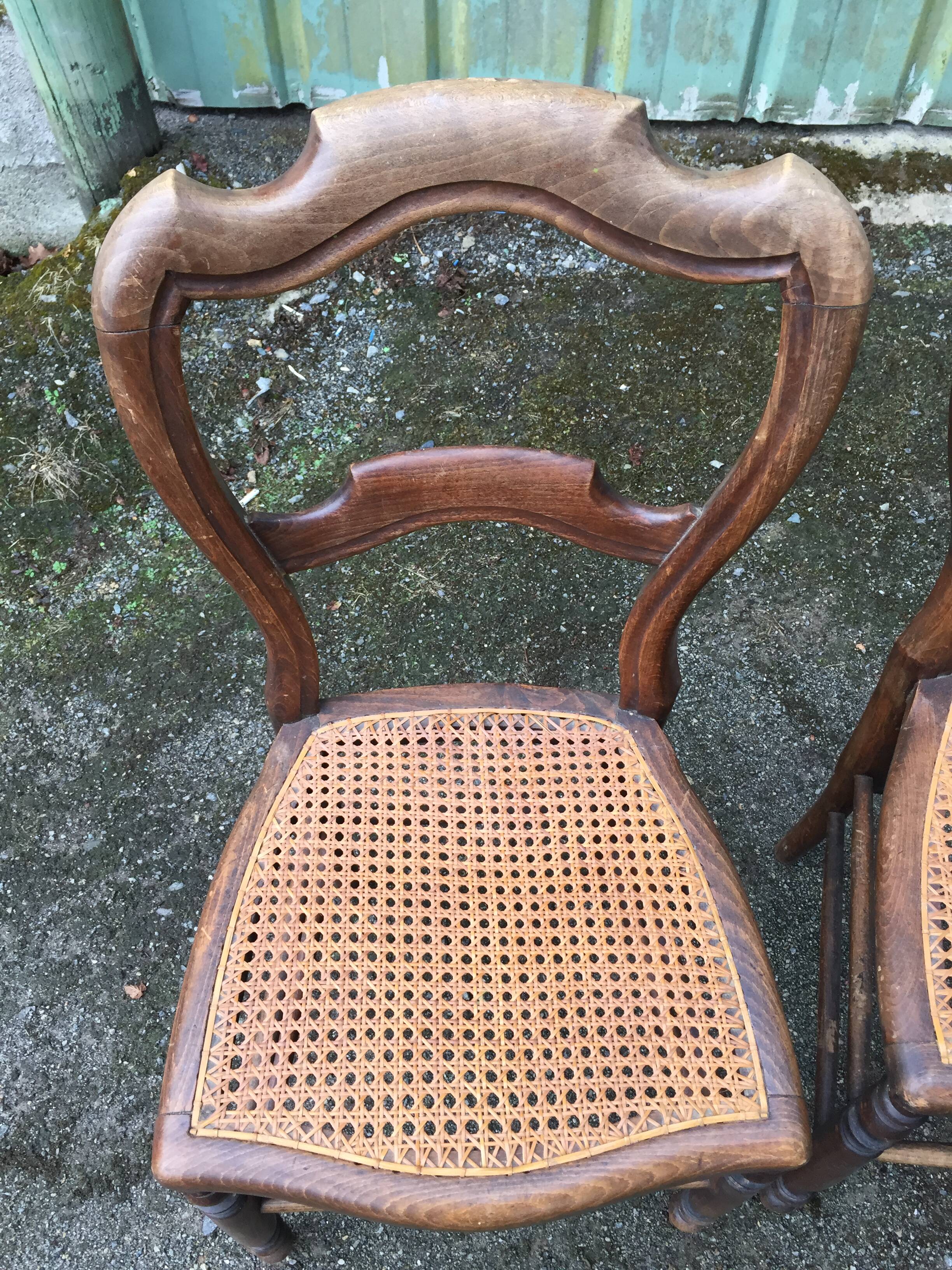 Louis Philippe style beech chairs