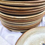 16 Flat plates in flowered marsh stoneware