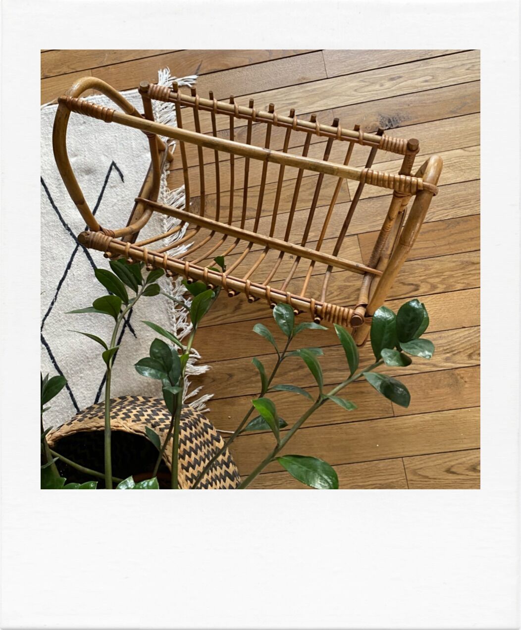 Rattan magazine door