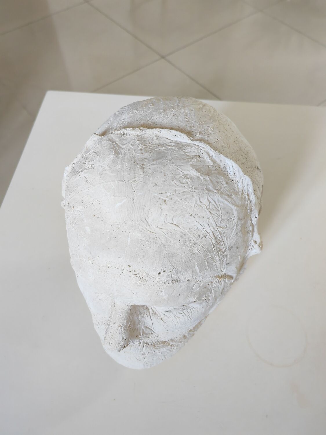 Signed plaster head