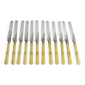 12 fruit knives, dessert knives, serving knives, engraved silver blades.