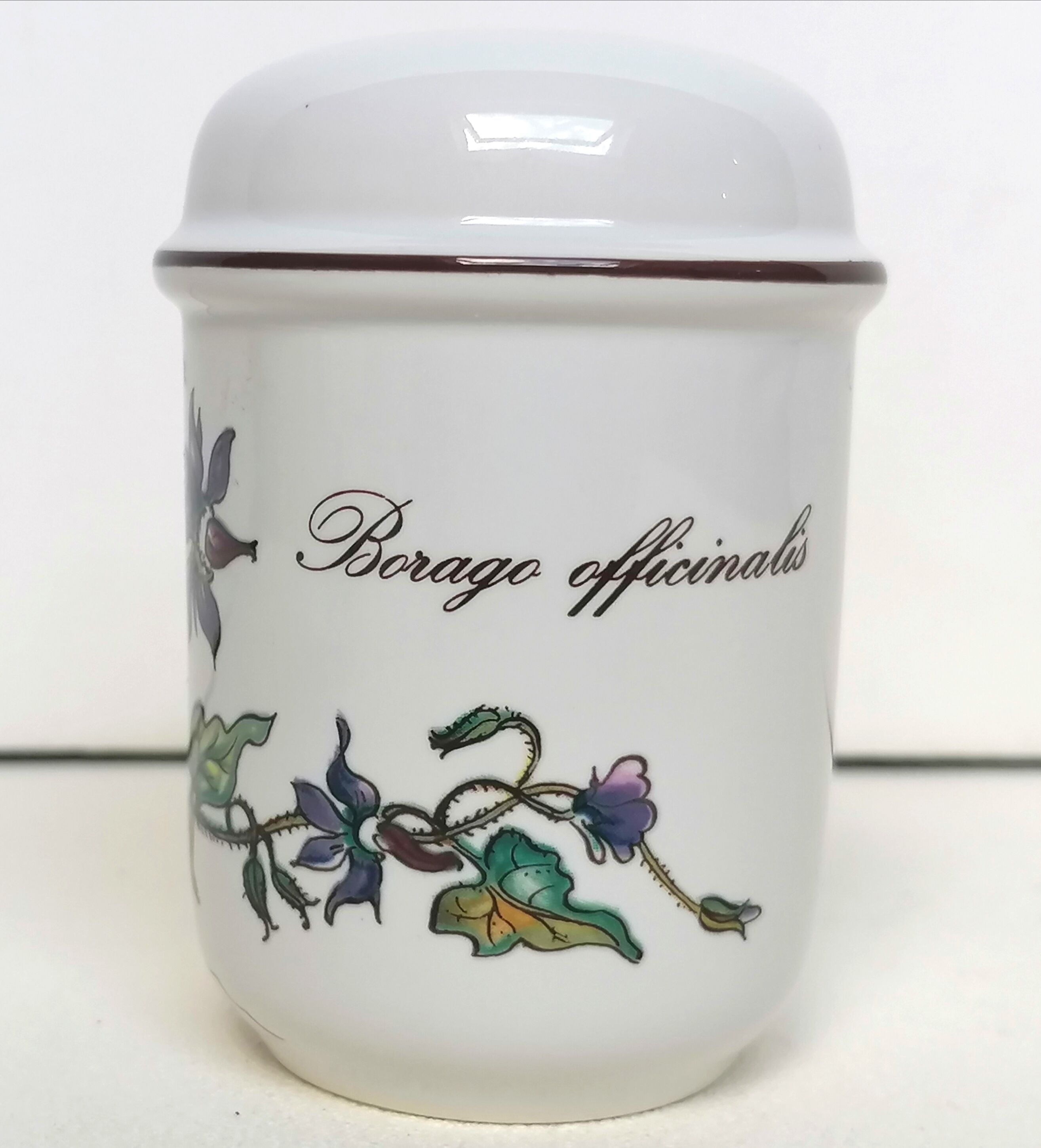Salière and pepper shaker Villeroy and Boch botanical decoration
