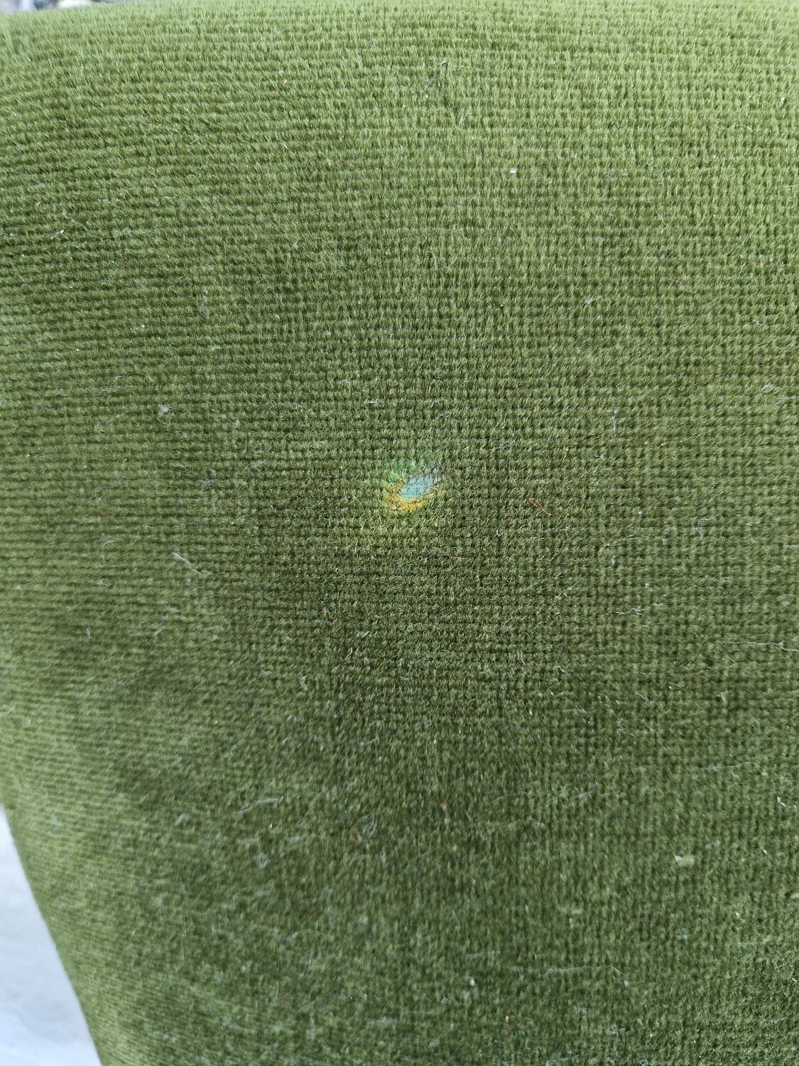 Set of 6 mahogany chairs