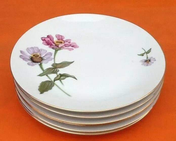 6 Bohemian Fine Porcelain Dinner Plates