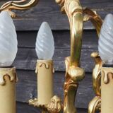 French Bronze Birdcage Chandelier: Louis XV Style 3-Branch Light