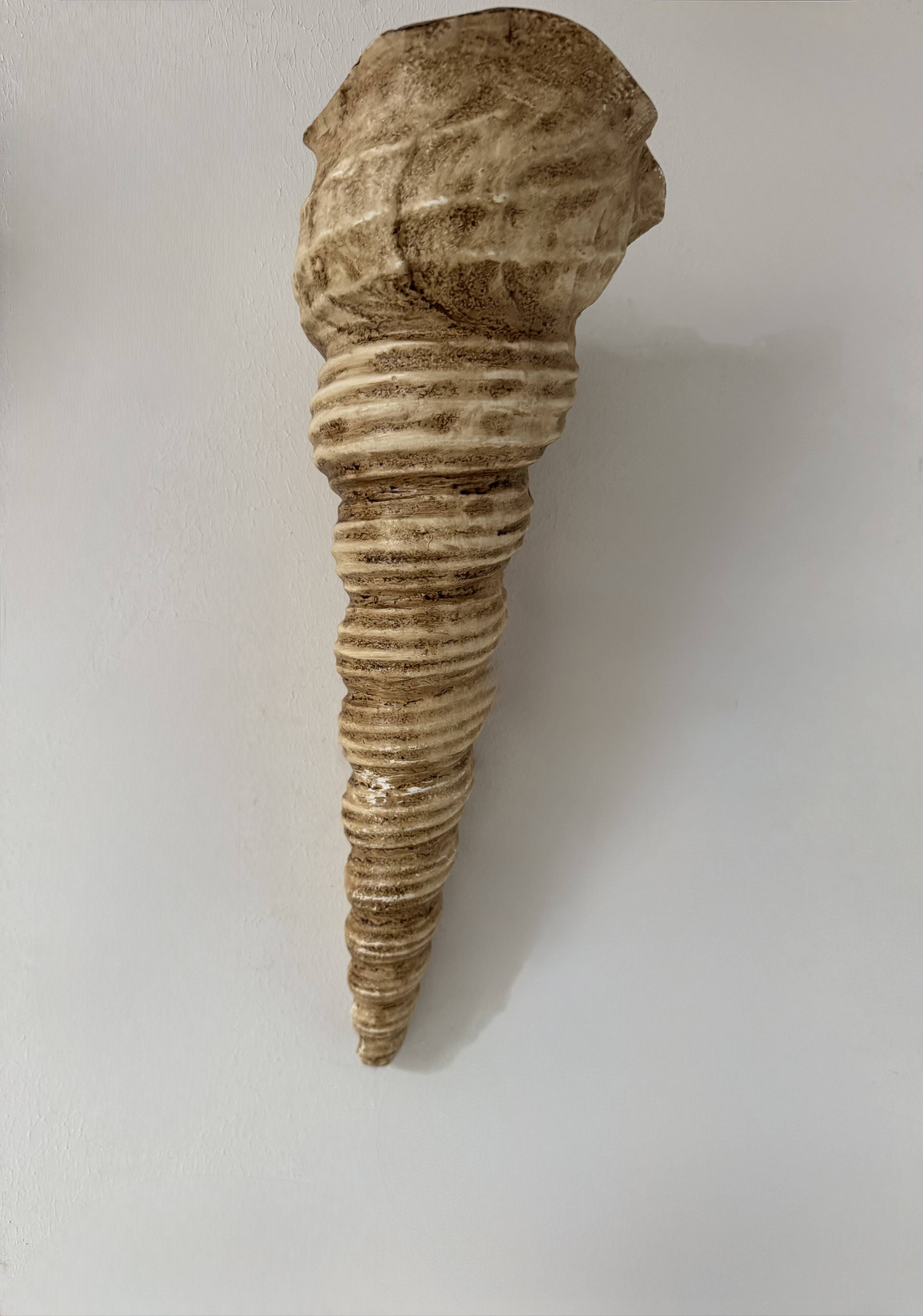 Pair of vintage shell wall sconces, beige fiberglass, France 1960