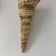 Paire d'appliques coquillage vintage, fibre de verre beige, France 1960