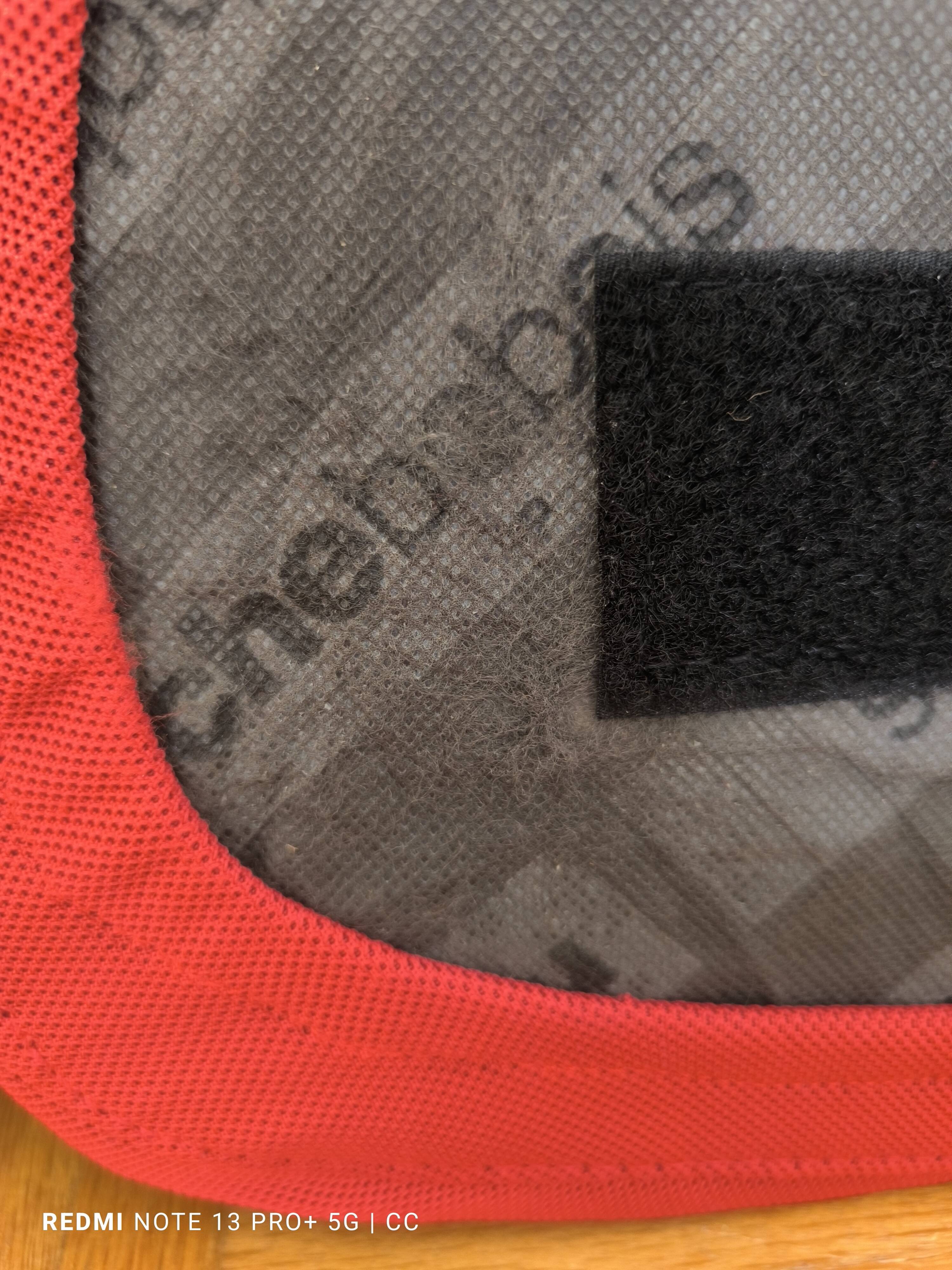 Roche Bobois Arum Chairs