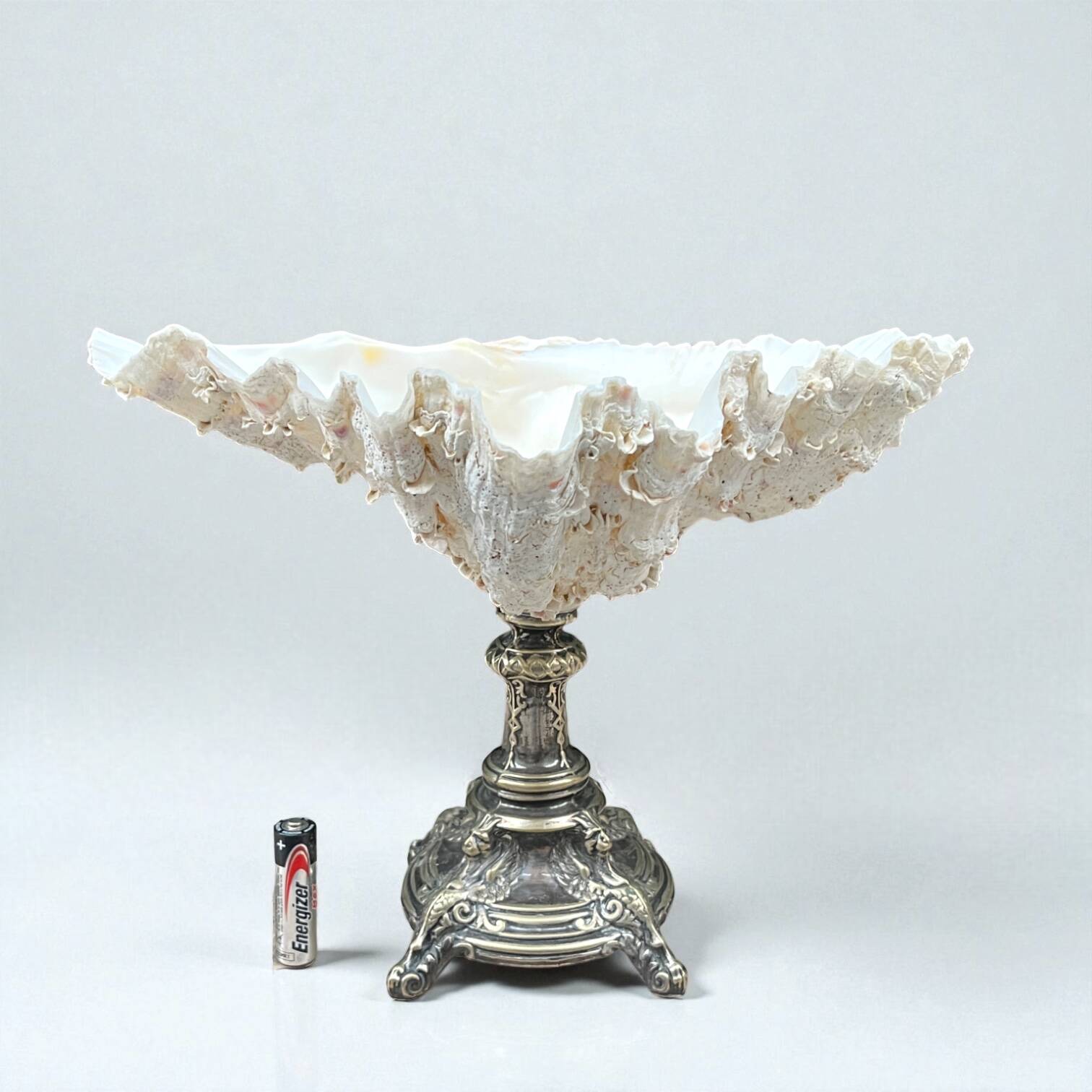 XXL large giant clam shell (Tridacne) on a silver-plated metal base, late 19th century