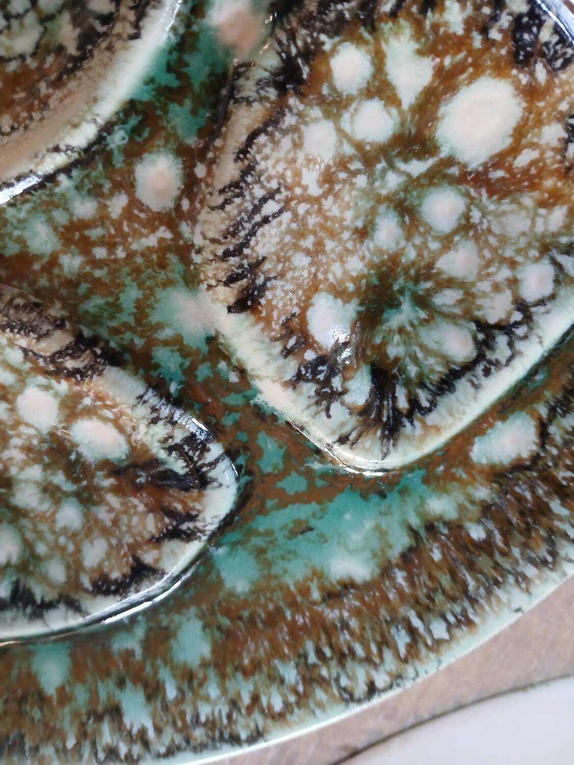 5 old Niderviller oyster plates
