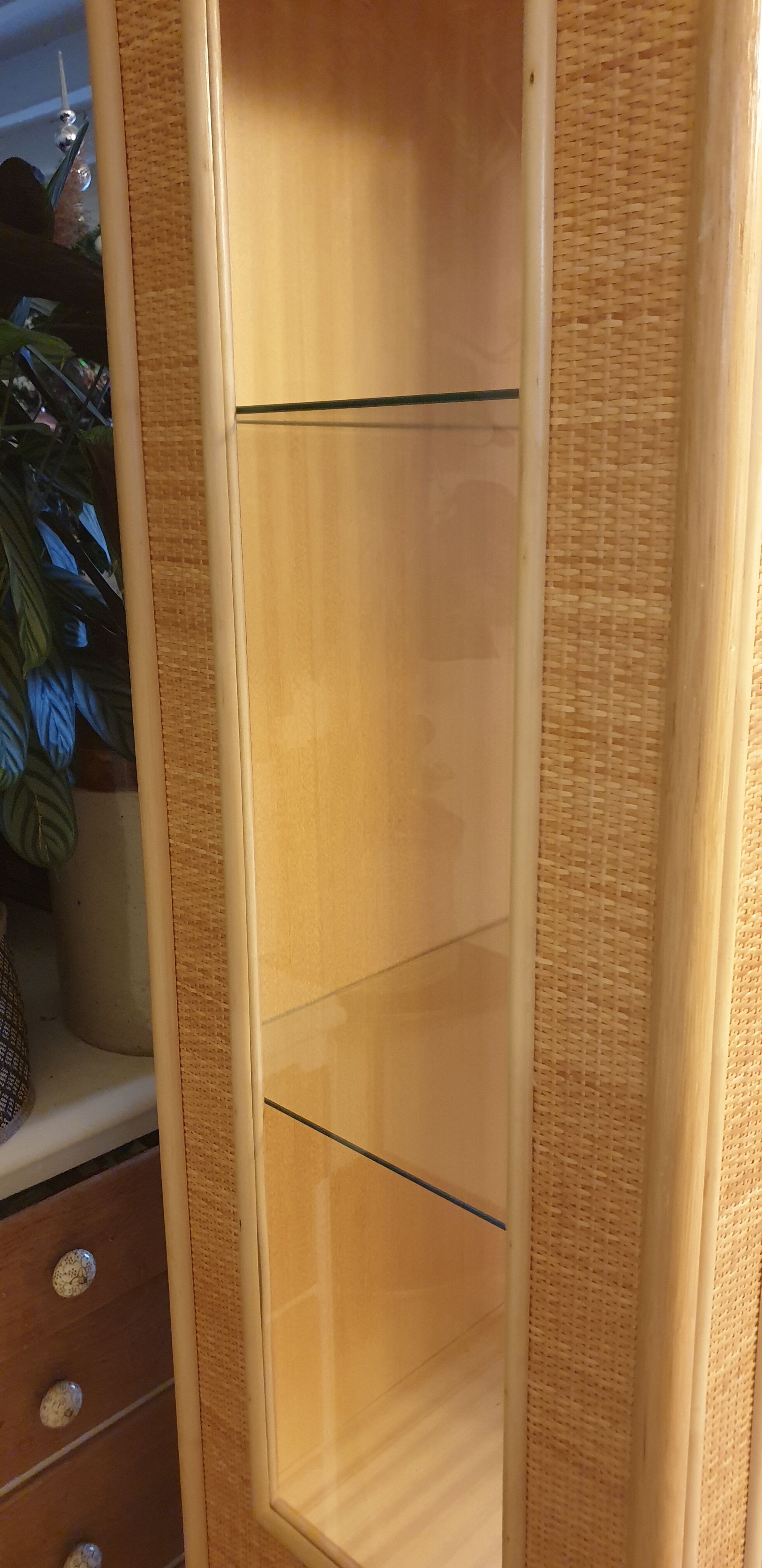 Rattan glass cabinet