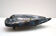 Italian Centerpiece with Fish in Glazed Ceramic, 1960s