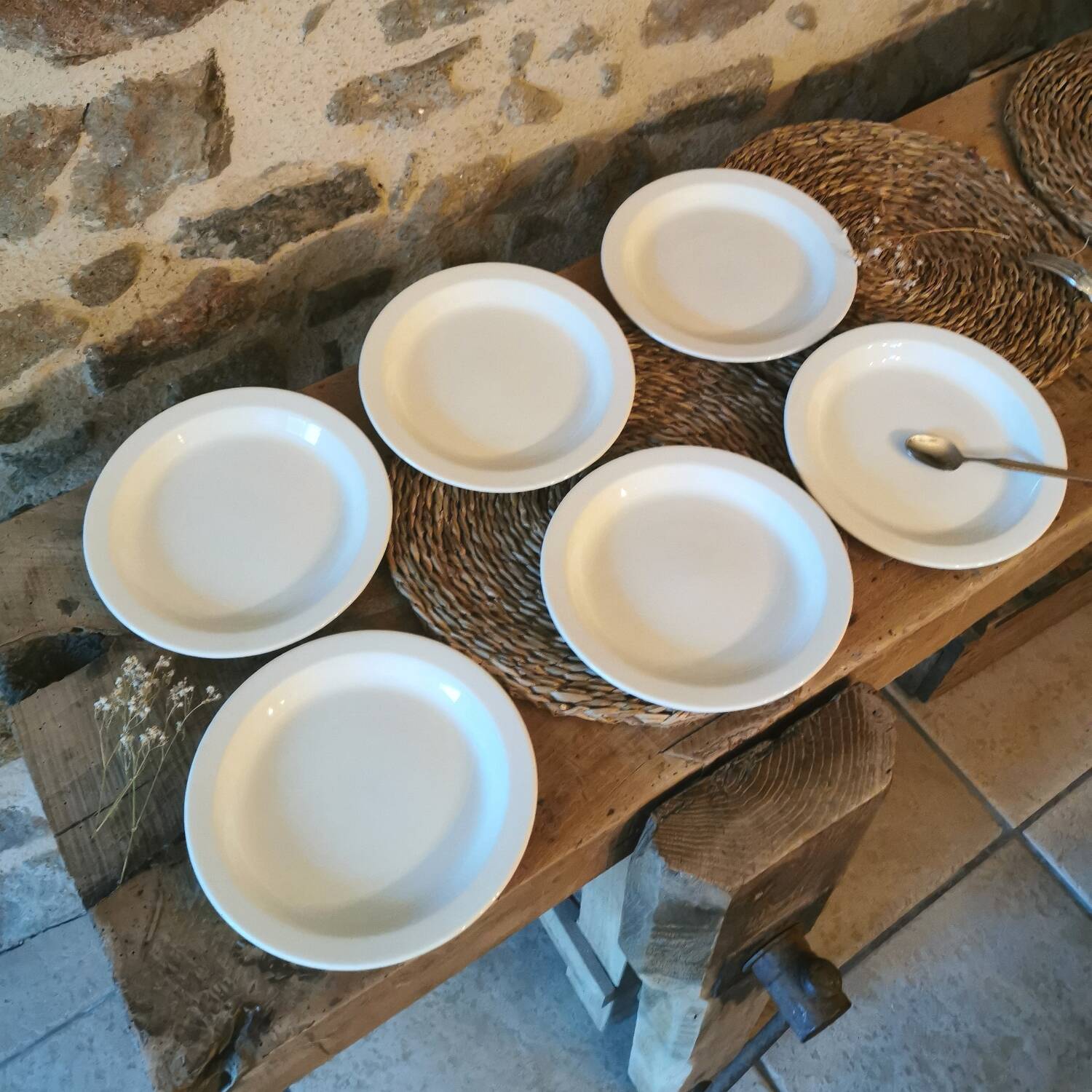 Vintage dessert plates, nesting set by Michel Hamon, Gien Prisunic