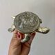 Pique fleur vintage tortue