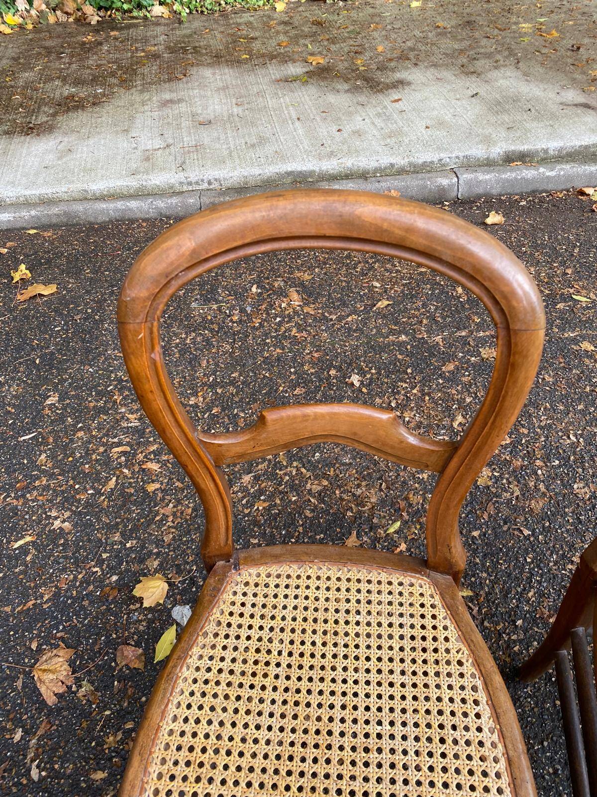 2 Louis Philippe caned chairs in solid wood from the 20th century