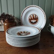 Set of 10 large ironstone Art Deco plates Saint-Amand Water Lily