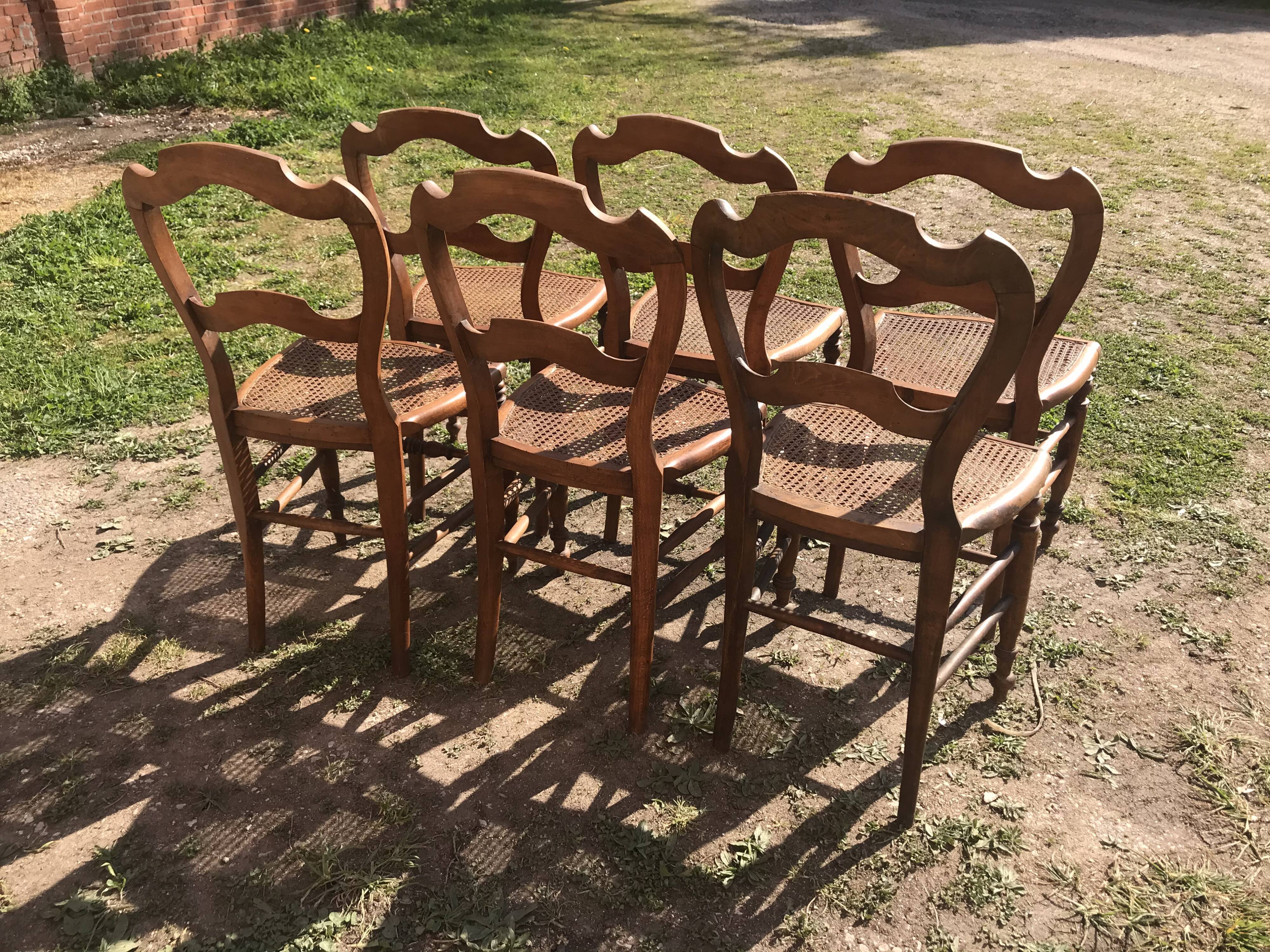 Suite de 6 chaises cannées Louis Philippe