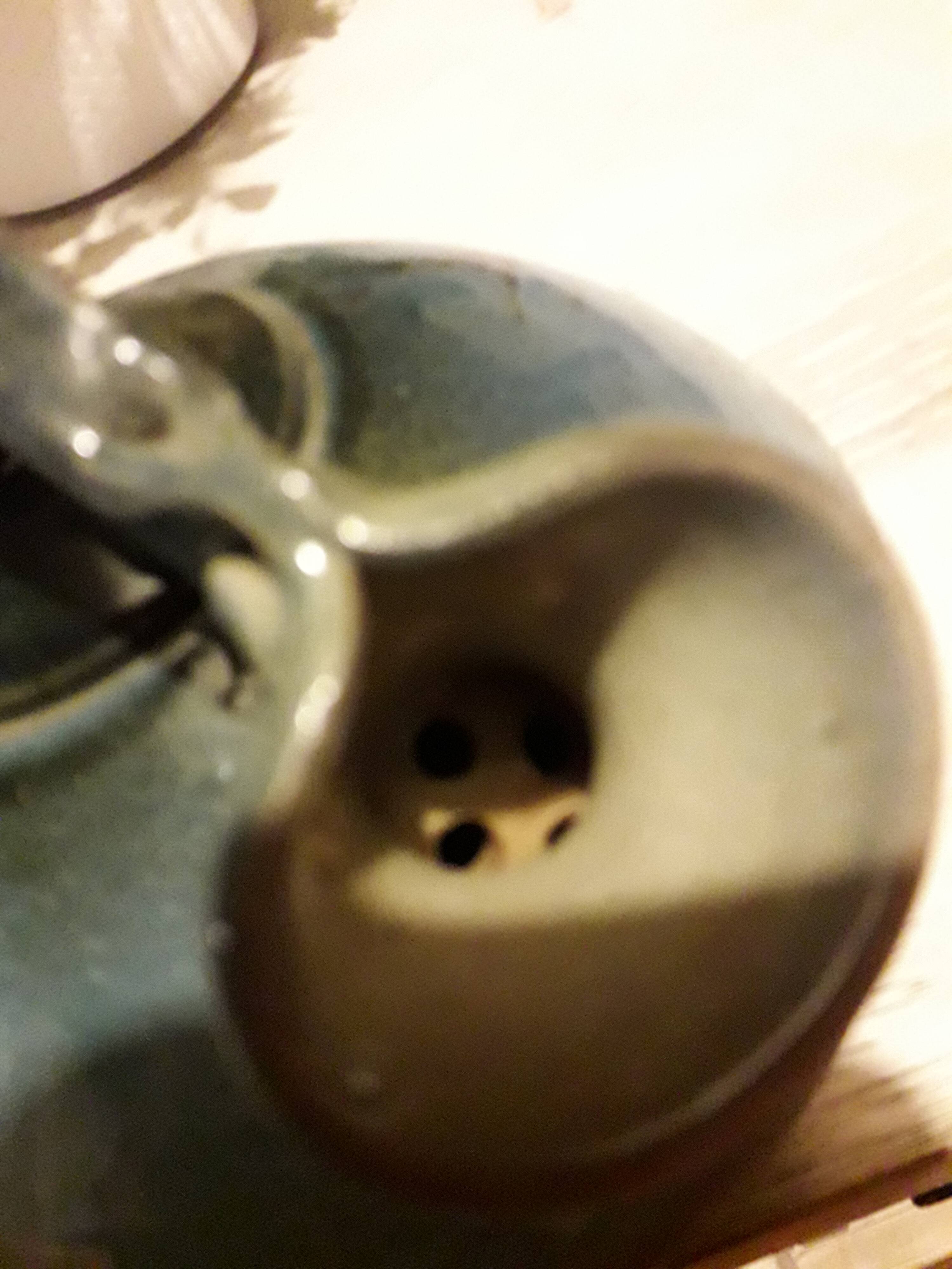 Ceramic teapot signed by the potter jean-luc pirot.