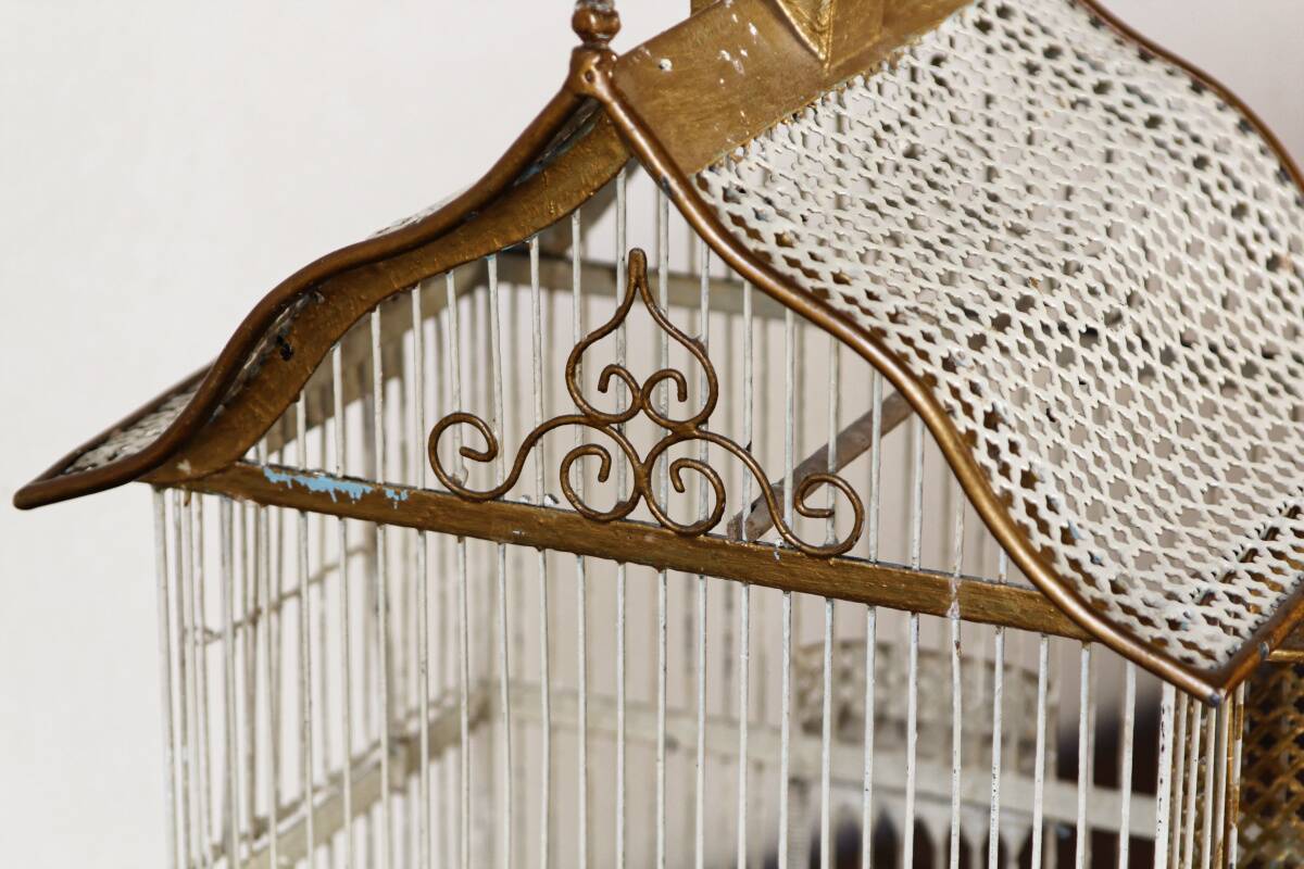 Old bird cage