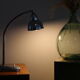 Elau 8791 chrome lamp