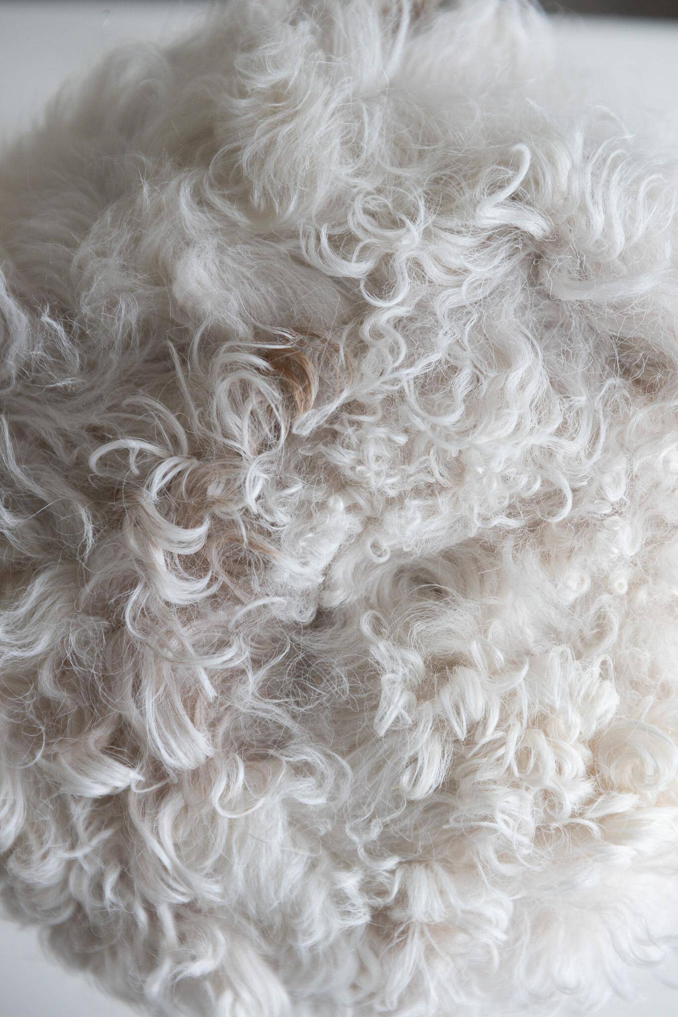 Danish mid-century tripod stool in beech, reupholstered in lambswool, 1960s.
