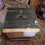Trunk old snake skin pattern