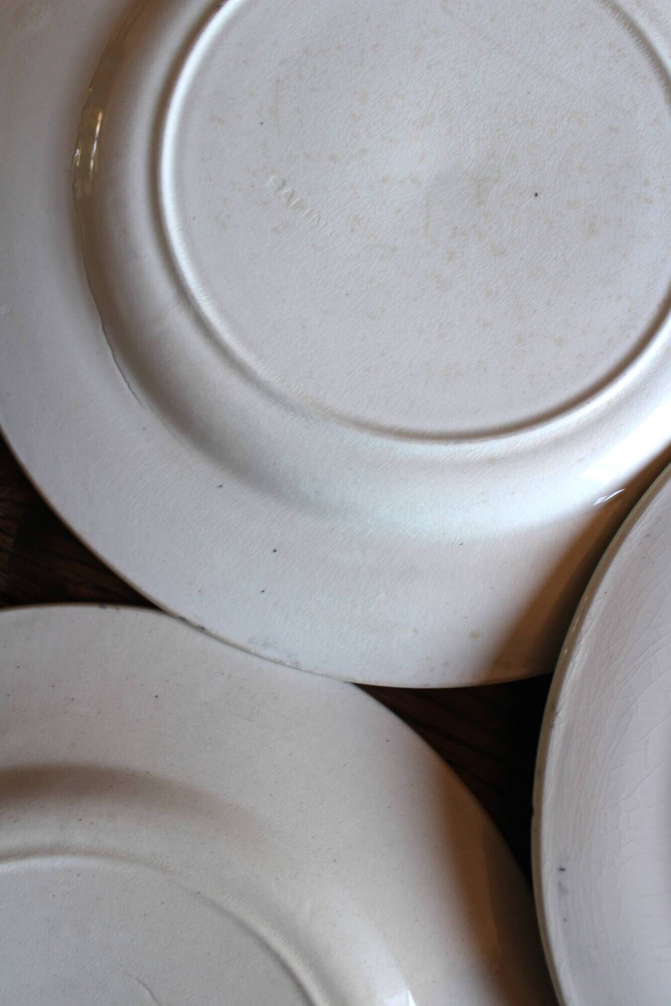A set of 6 flat plates Terre de Fer Guirlandes Louis XVI Salins