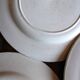 A set of 6 flat plates Terre de Fer Guirlandes Louis XVI Salins