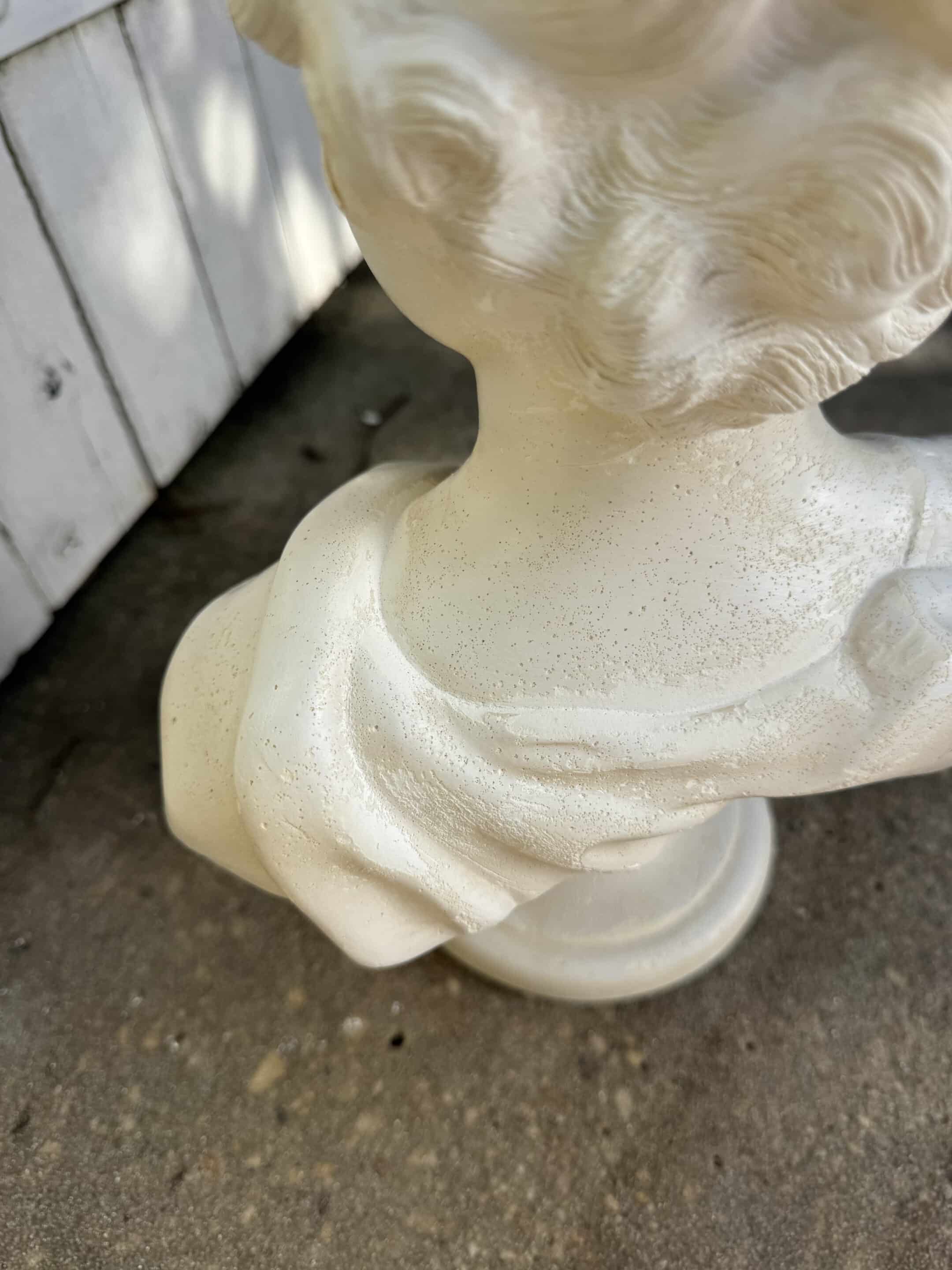 Plaster bust