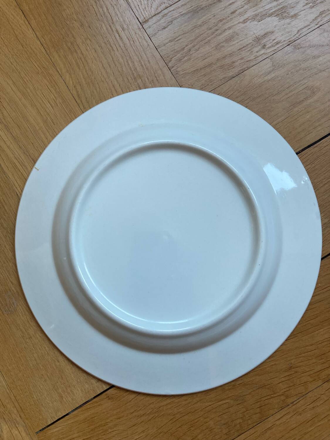 Blue butterfly patterned dinner plates