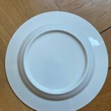 Blue butterfly patterned dinner plates