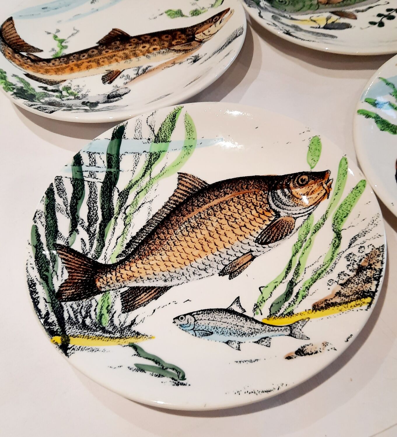 Fish plates Gien