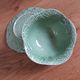 Bowl, dish, cabbage in earthenware, Portugal.