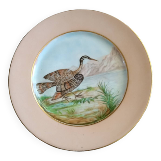 Assiette porcelaine 19eme décor oiseau