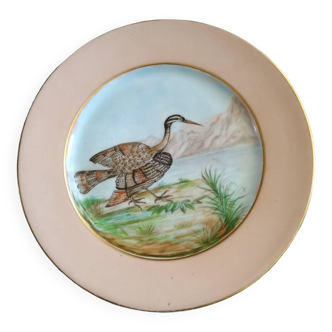 19th century porcelain plate with bird decor