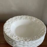Franco Giorgi plates by Quadrifoglio