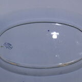 Dish