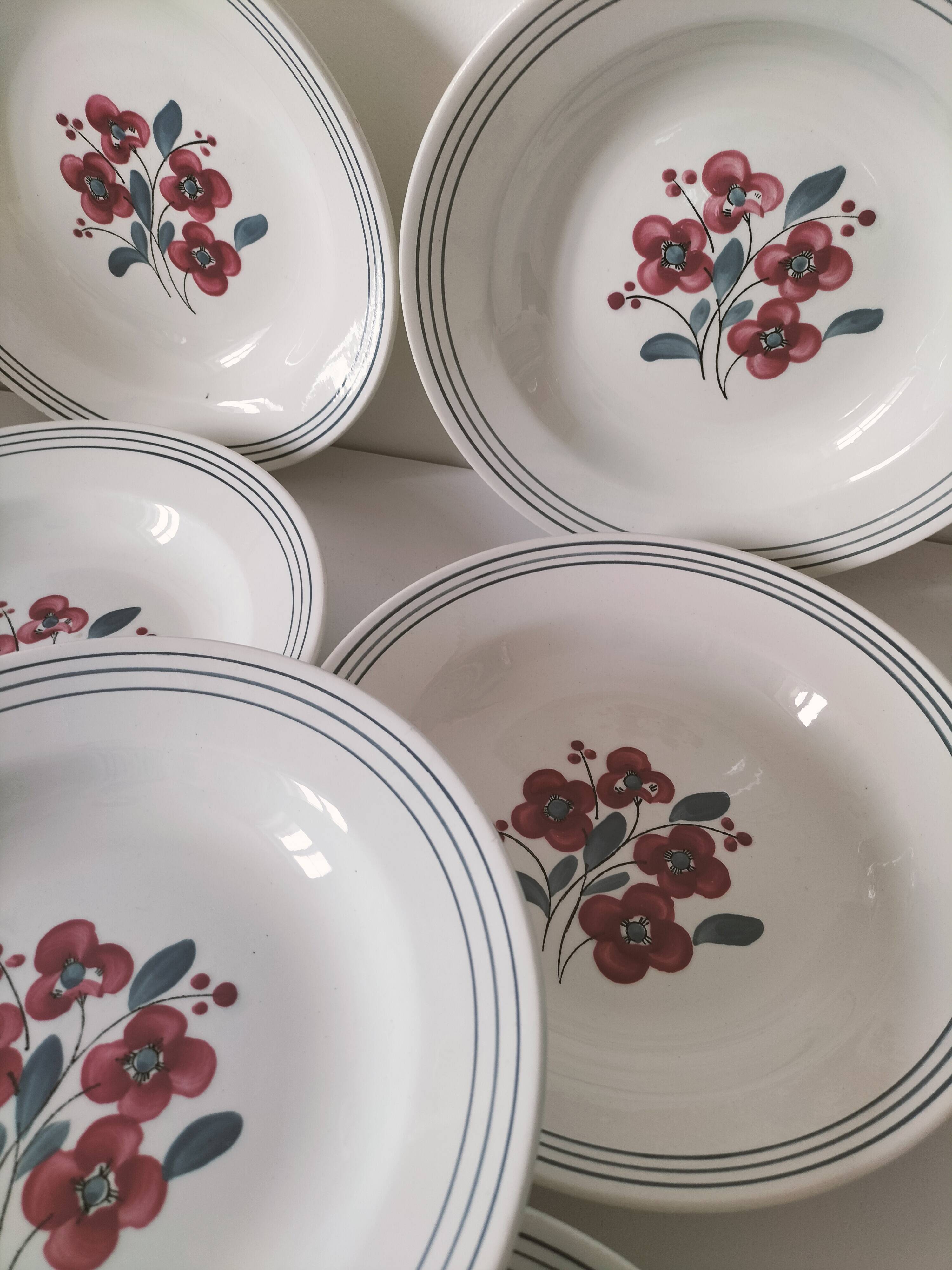 7 Salins Odile soup plates – raspberry flowers & blue border