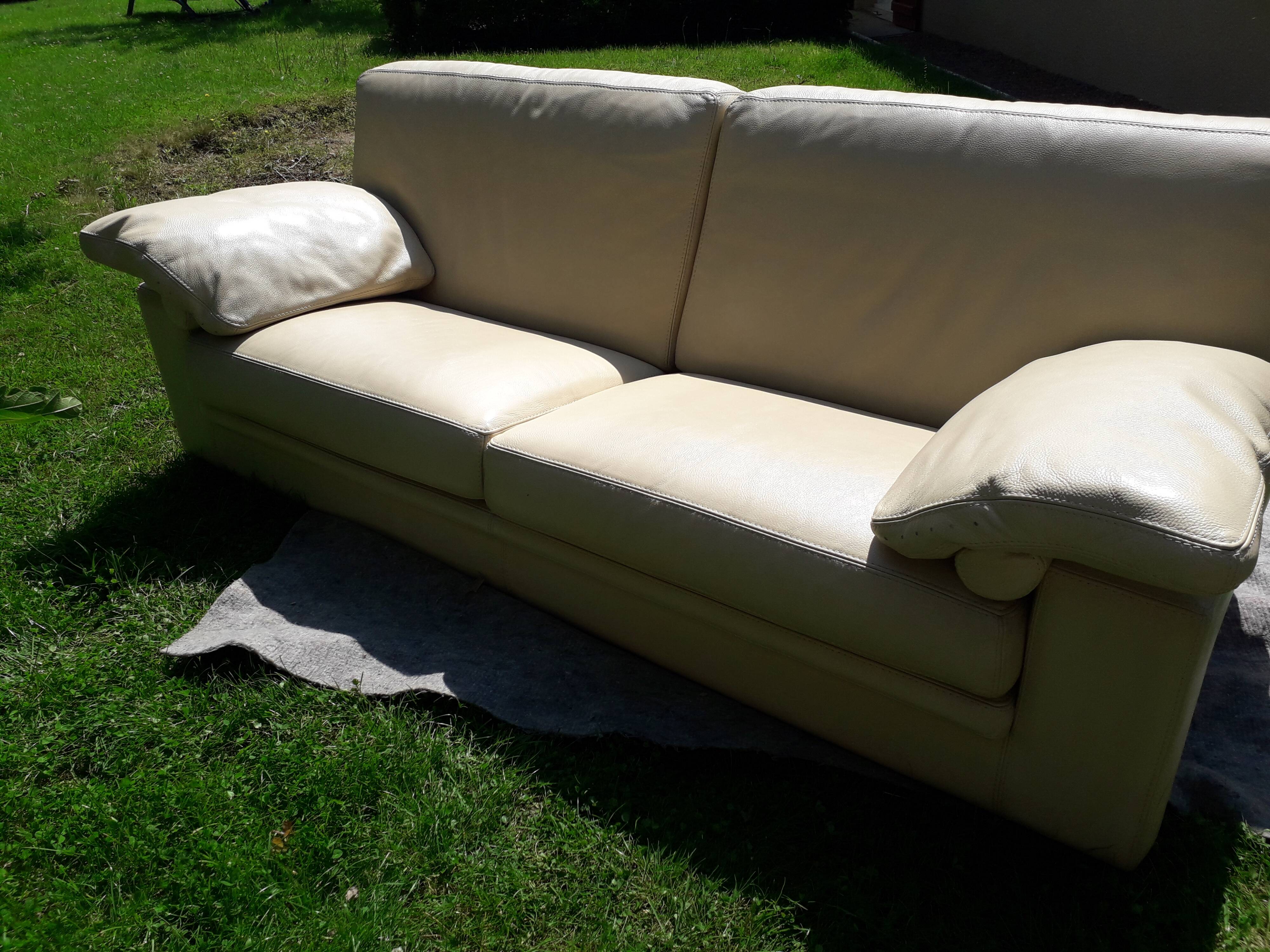 Canape cuir roche bobois