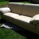 Canape cuir roche bobois