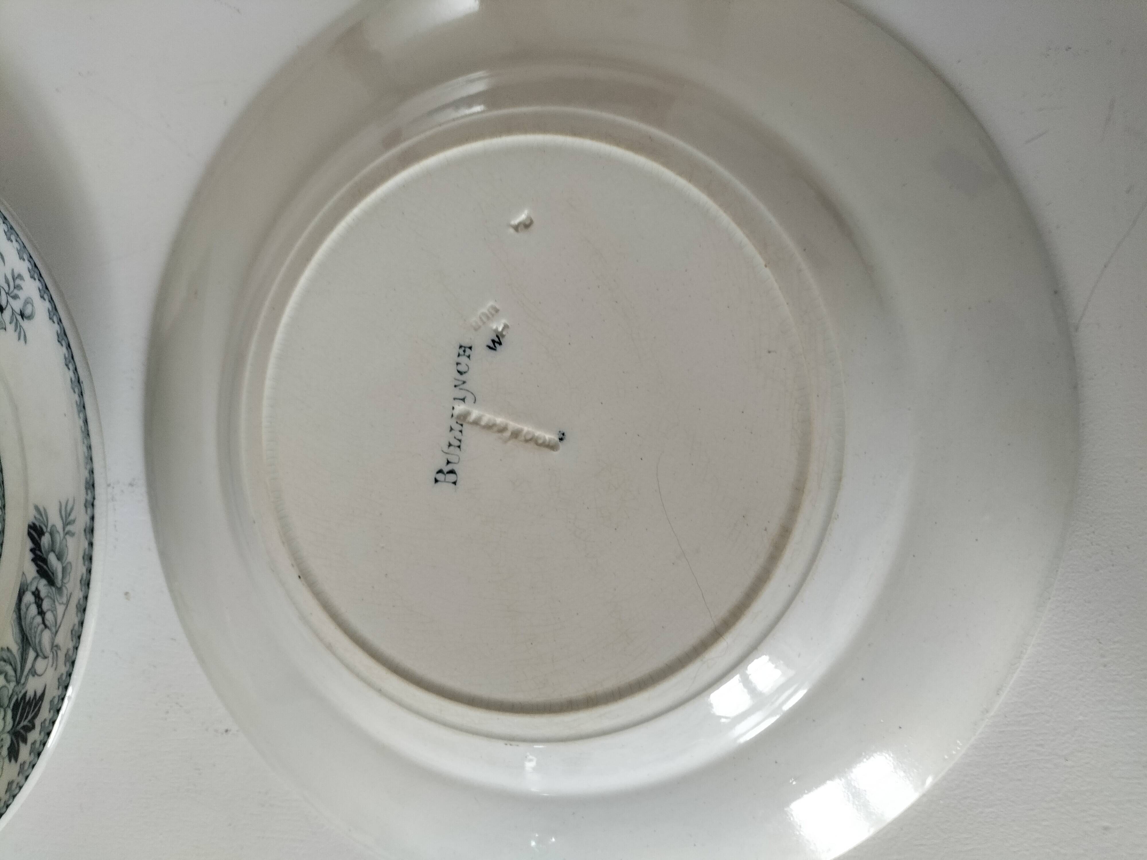 Vintage Wedgwood Bullfinch Plates